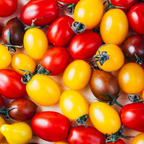 25 Rainbow Cherry Tomato Seeds, Non-GMO, Heirloom, Sweet & Juicy Multi-Color Tomatoes, Vegetable Seeds for Fresh Salads & Gardening