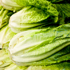 500 Romaine Lettuce Seeds - Parris Island Cos, Non GMO Vegetable Seeds, Heirloom, High-Yield Tender Leafy Greens, for Fresh Salads & Outdoor Planting