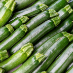 25 Dark Green Zucchini Seeds, Non GMO, Heirloom, High-Yield Summer Squash Seeds, for Pots, Containers & Gardens