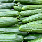 50 Tendergreen Burpless Cucumber Seeds, Non-GMO, Crispy Sweet Cucumber Vegetable Seeds, Fast Growing Summer Crop for Garden Trellis