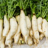 400 Pcs White Icicle Radish Seeds, Non GMO, Easy to Grow, Cold Tolerant Radish Seeds, Ideal for Raised Beds & Backyard Vegetable Gardens