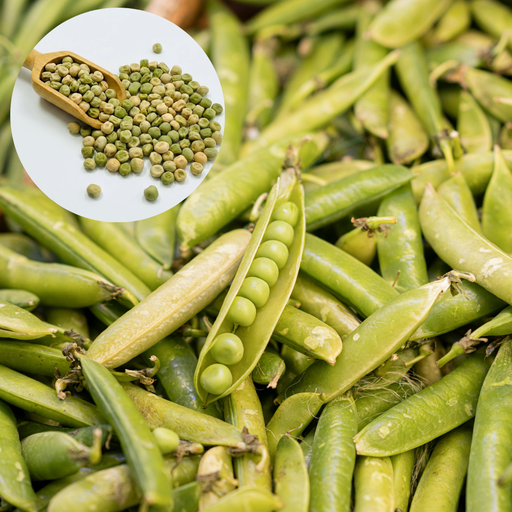 60 Super Sugar Snap Pea Seeds, Non-GMO, Heirlooms, Edible Vegetable Seeds for Home Gardens