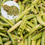 60 Super Sugar Snap Pea Seeds, Non-GMO, Heirlooms, Edible Vegetable Seeds for Home Gardens