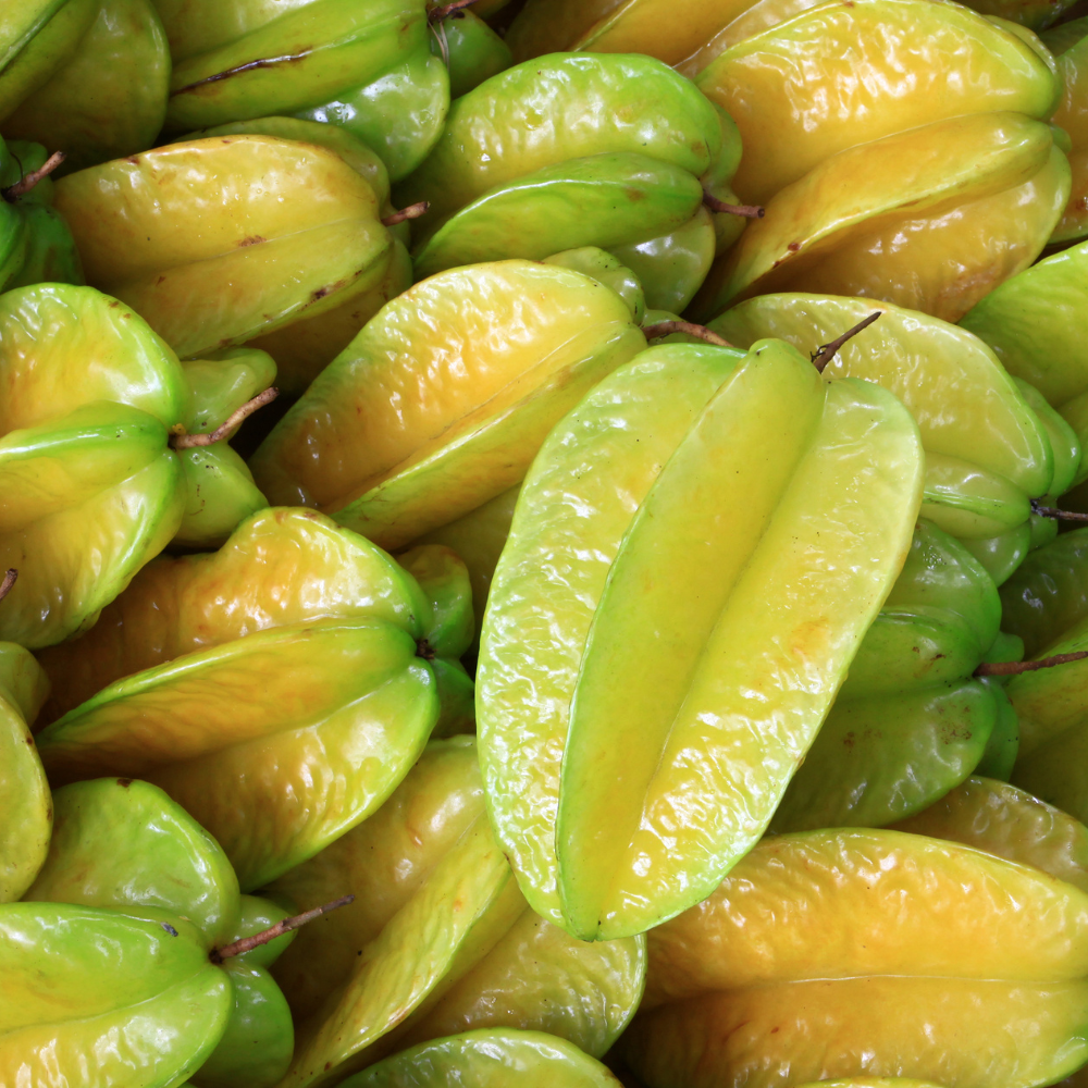 (No Ship to CA,HI,AK) Live Star Fruit Tree - 3 Gallon Pot | 30-36 Inches Tall | Self-Pollinating Fruit Tree | Well-Rooted Plant