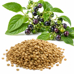 100 Pcs Garden Huckleberry Seeds, Non GMO, Heirloom Fruit Seeds, Suitable for Outdoor Garden & Borders
