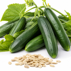 100 Tendergreen Burpless Cucumber Seeds, Heirloom, High-Yield Vegetable Seeds, for Fresh Salads, Pots, Containers & Outdoor Planting