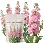 100 Pcs Katz Stock Cherry Blossom Seeds for Planting Outdoors, Grow Robust, Easy to Care Sweetly Scented Pink Blooms for Yard Borders