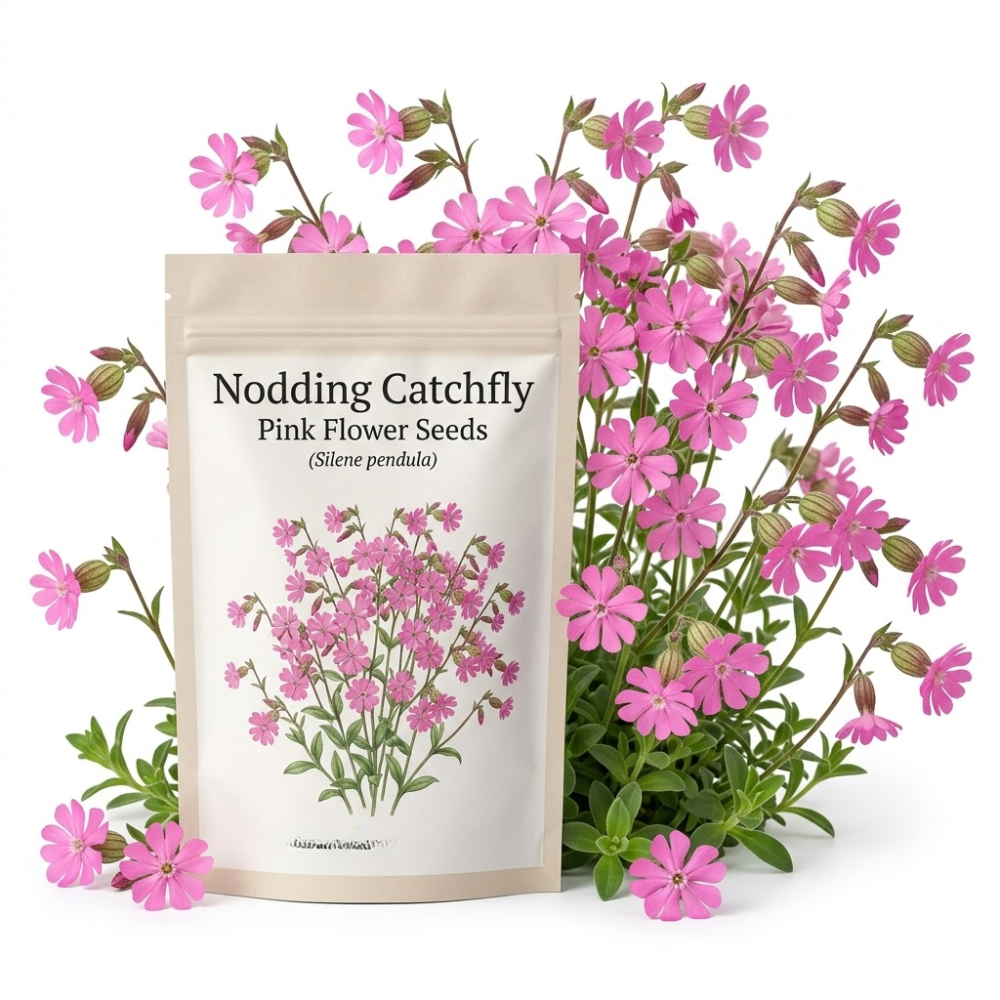600 Pcs Pink Nodding Catchfly Seeds for Planting Outdoors, Grow Robust, Easy to Care Cascading Pink Blooms for Wildflower Meadows