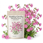 600 Pcs Pink Nodding Catchfly Seeds for Planting Outdoors, Grow Robust, Easy to Care Cascading Pink Blooms for Wildflower Meadows