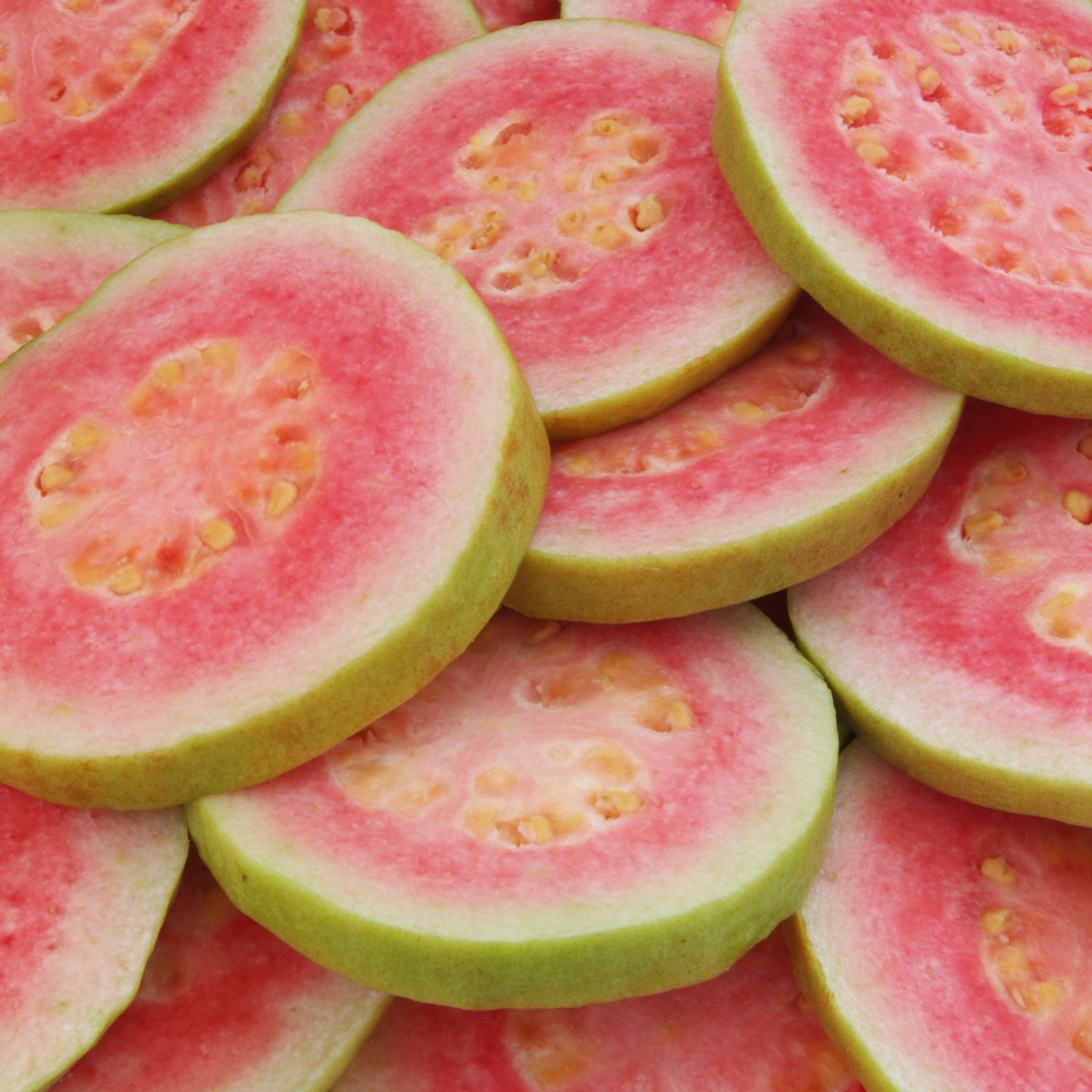 2 Count Pink Guava Tree Live Plant | Tropical Fruit Tree | Home Garden | 6-10 Inch Young Guava Plants | Easy to Grow & Fruiting
