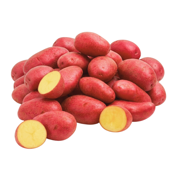 Red Seed Potatoes for Planting Outdoors, 2 Lbs, Non GMO, High Yield Potato Seeds, Ready to Plant