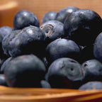 Huckleberry Plants Live for Planting, 3-4 Inch Bare Root Seedlings, Low Maintenance Native Fruit Shrub, Robust Well-Rooted Plants