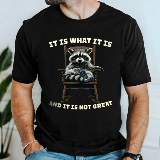 Gingerglowgifts Funny Raccoon T-shirt, Father's Day Gift, It Is What It Is And It Its Not Great T-shirt HTT36HVN