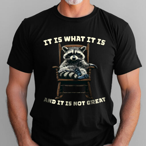 Gingerglowgifts Funny Raccoon T-shirt, Father's Day Gift, It Is What It Is And It Its Not Great T-shirt HTT36HVN